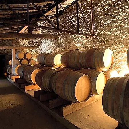 Maison Le Sepe - Vignoble Bio Et Bed & Breakfast Sainte-Radegonde (Gironde)