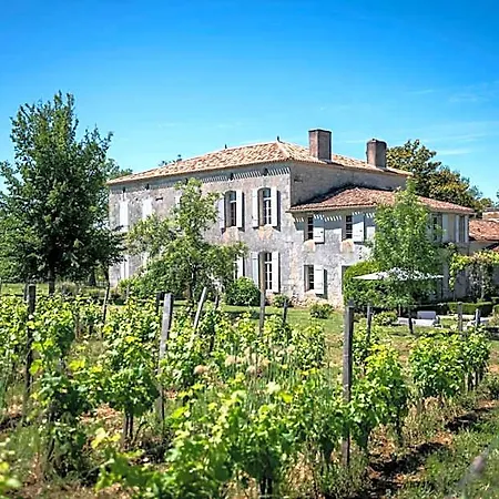 Maison Le Sepe - Vignoble Bio Et Bed & Breakfast 4*