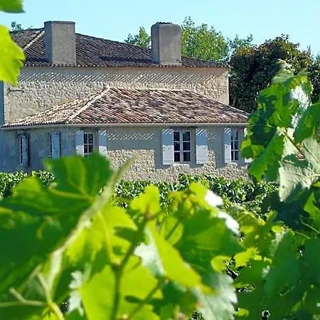 Maison Le Sepe - Vignoble Bio Et Bed & Breakfast 4*
