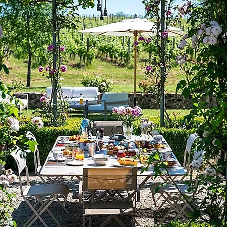 Maison Le Sepe - Vignoble Bio Et Bed & Breakfast 4*