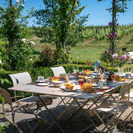 Maison Le Sepe - Vignoble Bio Et Bed & Breakfast *